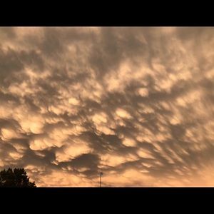 Meet your Posher, Payton